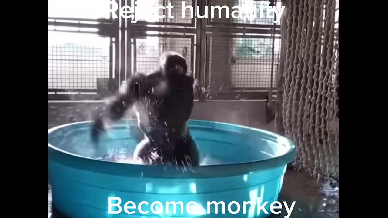 Reject humanity, become monkey