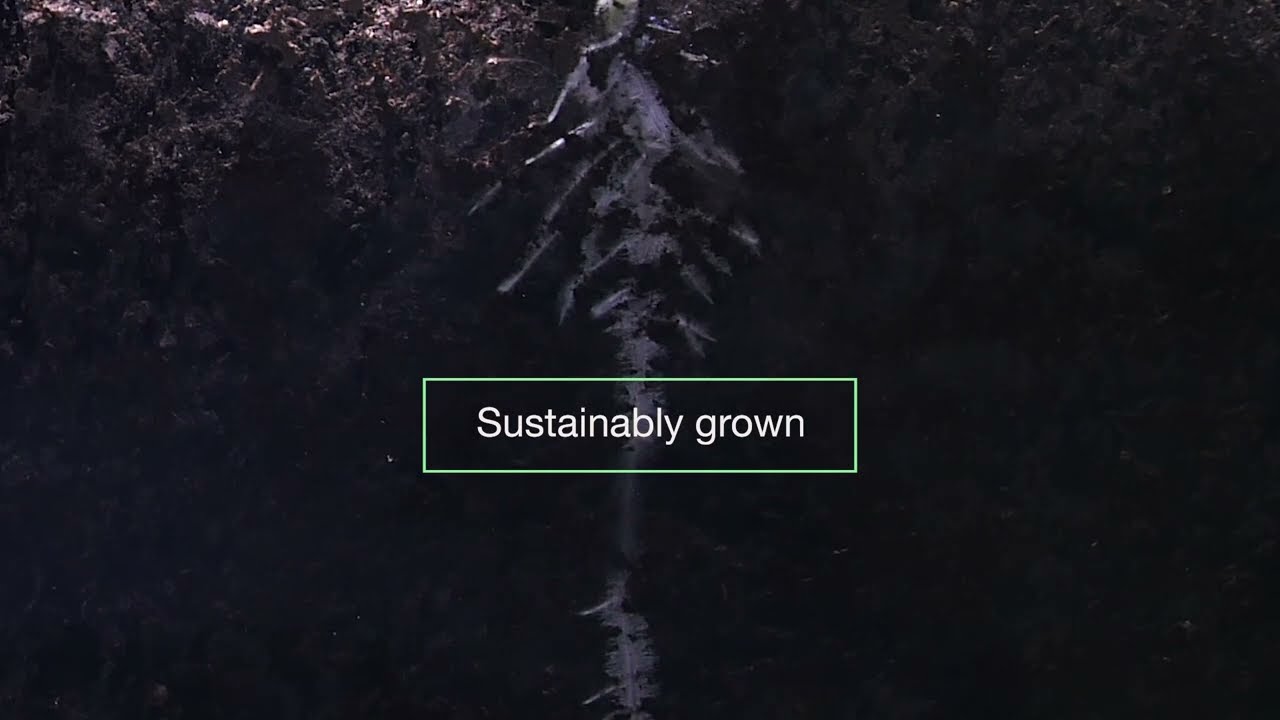 Arevo - Precision Nutrition