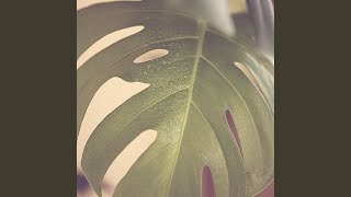 Bubbly Backdrops for Calming Notes