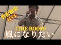宮沢和史(THE BOOM)ライブ in 大阪 風になりたい シークレット特別ゲスト 泉州沖縄祭り