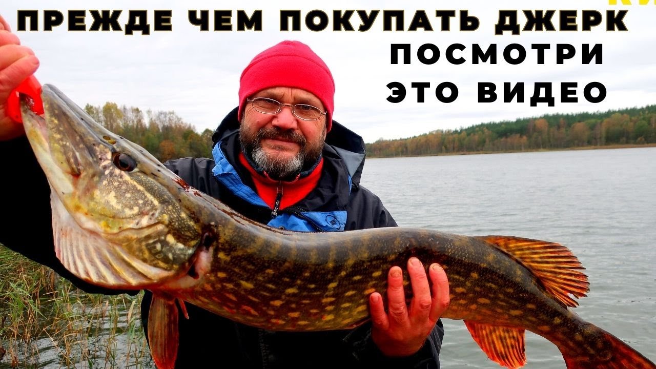 Если Вы хотите занятся джерковой ловлей сначала посмотрите это видео .