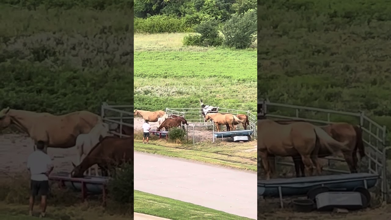 Очень интересно наблюдать за людьми 