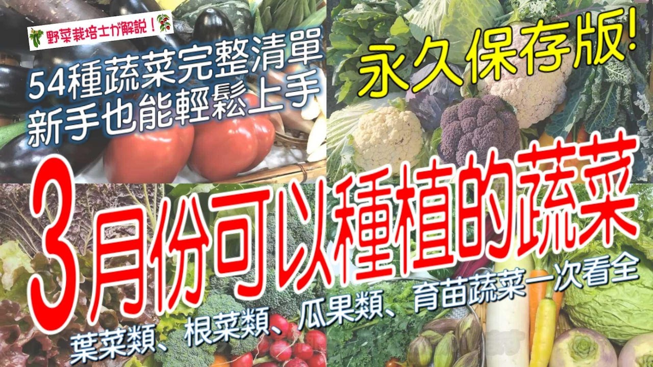 3月種什麼菜？54種適合3月播種和定植的蔬菜大全｜附氣候區種植時間調整技巧