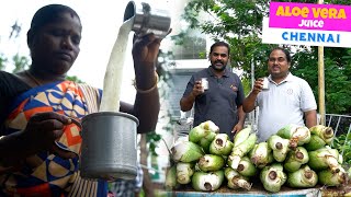 ALOE VERA JUICE IN CHENNAI | Healthy Street Food | WFT Vlog