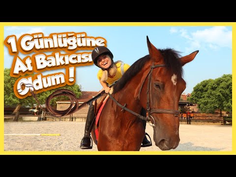 BİR GÜNLÜĞÜNE AT BAKICISI OLDUM | TÜRKİYE ŞAMPİYONU JOKEY İLE!