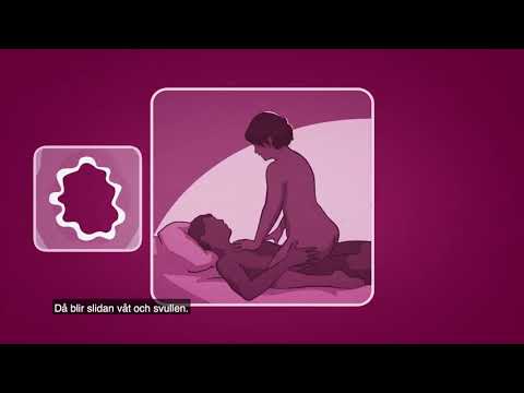 Kızlık Zarı Nedir, Yapısı ve Yanlış Bilinenler ( Hymen )