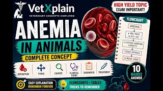 Anemia in detail  ||definition| || ||classification|| ||pathogenesis|| ||descriptive concept ||