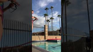 Lexie Kelly Swim - Dive In Speedo Swimwear