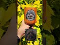 Mate de este hermoso caniche #mascotas #perros #caniche #pintura #fyp #viralvideo #trendingshorts