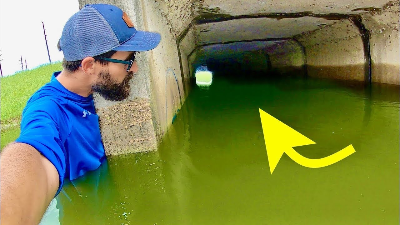 GIANT FISH caught in CRAZY FLOODWATERS!!