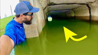 GIANT FISH caught in CRAZY FLOODWATERS!!