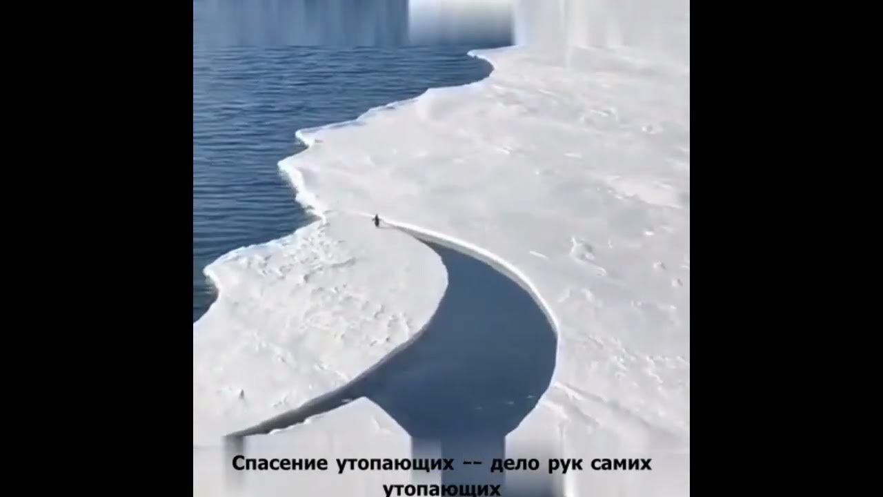 Спасение утопающего дело самого утопающего песня. Дело утопающих дело рук самих утопающих. спасение утопающих дело рук самих утопающих. спасение утопающих дело рук самих утопающих песня. спасение утопающих дело рук приколы.