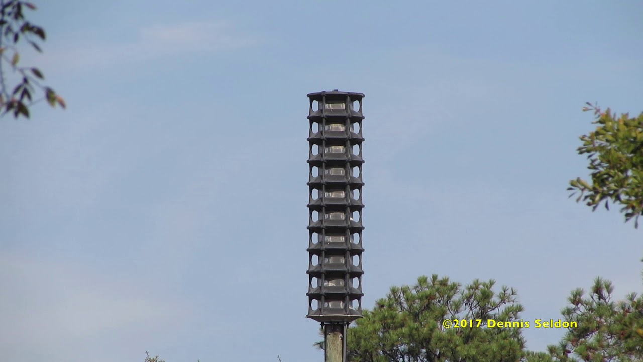 Whelen WPS-2810 Alert, Wail, Full Air Horn - Columbus, GA 11/18/17