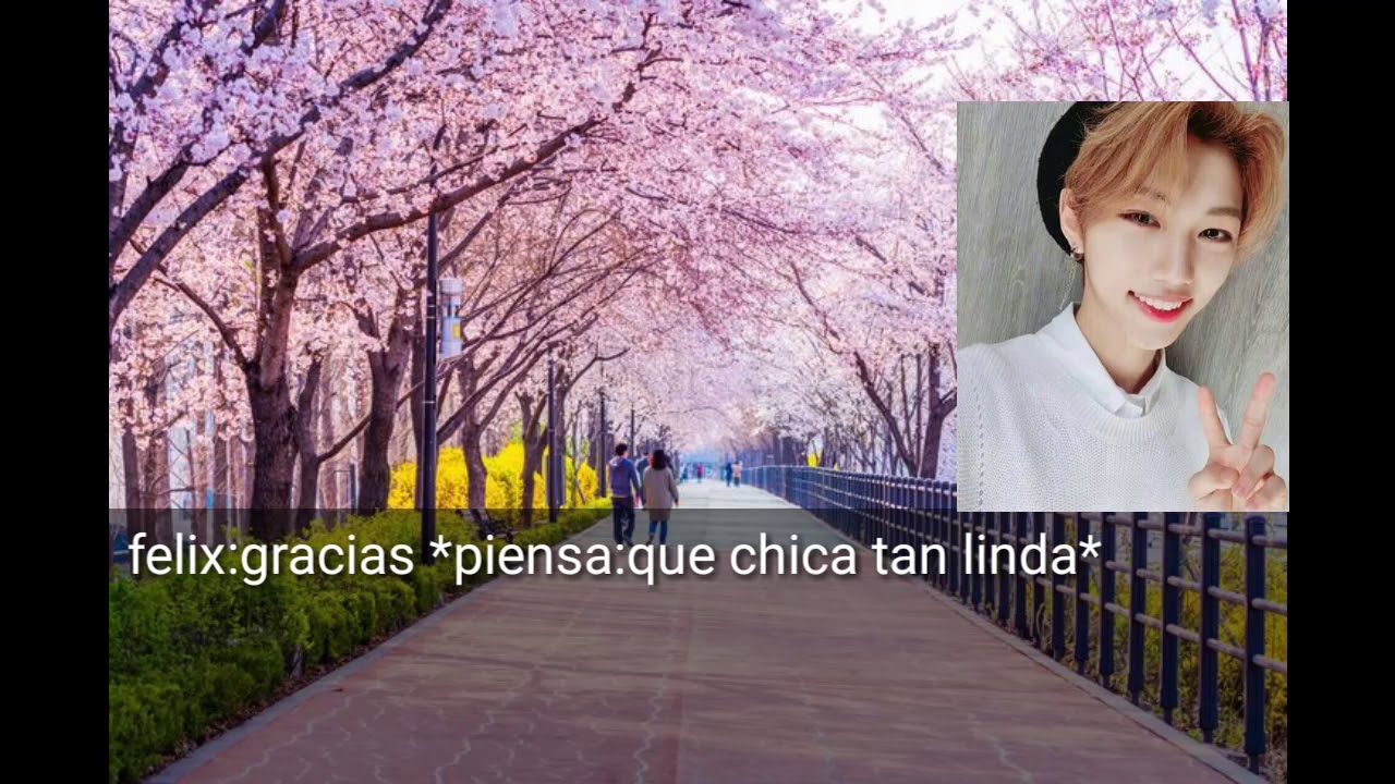 💞💞💞Imagina con Stray Kids💞💞💞(viviendo con stray kids) cap 1/?