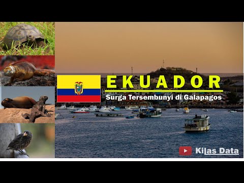 FAKTA NEGARA EKUADOR dengan SURGA tersembunyinya, yaitu Kepulauan Galapagos #ekuador
