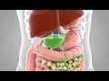 NAC vs TUDCA for Liver Detox: Which Supplement Is Better for High Liver Enzymes?