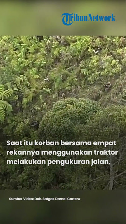 KKB Papua Tembak Pekerja di Intan Jaya: Satgas ODC Buru Pelaku!