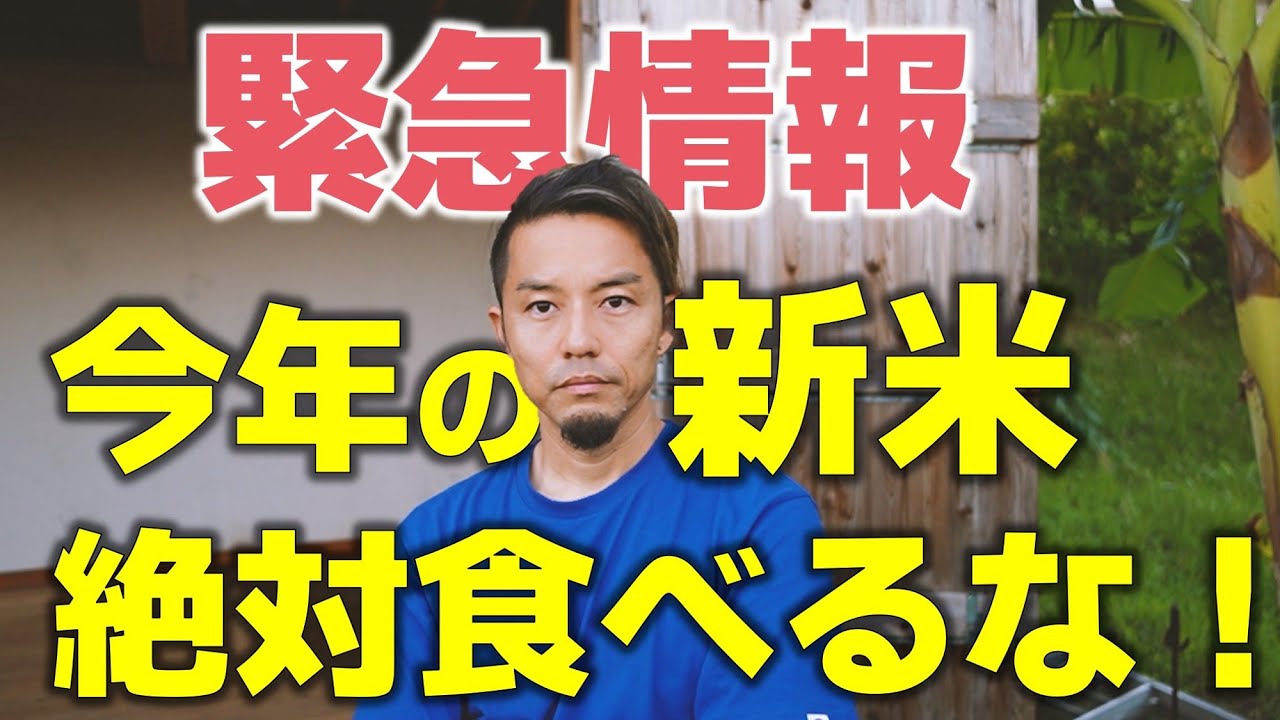 緊急シェア】今年の新米は、食べないで。 - YouTube