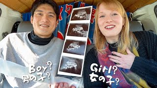 First Time Pregnancy | Gender Reveal Shock \& Week by Week Baby Growth Vlog