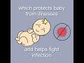 Three facts about breast milk