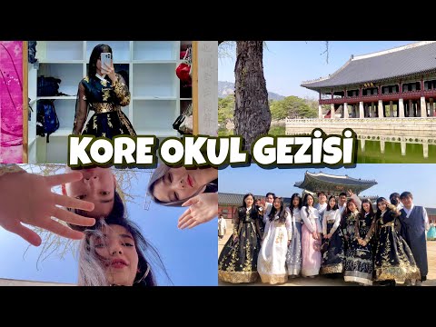 Video: Güney Kore'deki Geziler