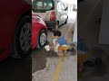 Samaira cleaning Car