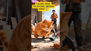 Yavru Kedi Telefonu Kırdı Onu Kurtarmak İçin...