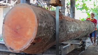 proses pengerajian pohon durian merah pesanan sultan Andara Rafi Ahmat dibuat papan disawmil