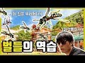 벌들의 역습