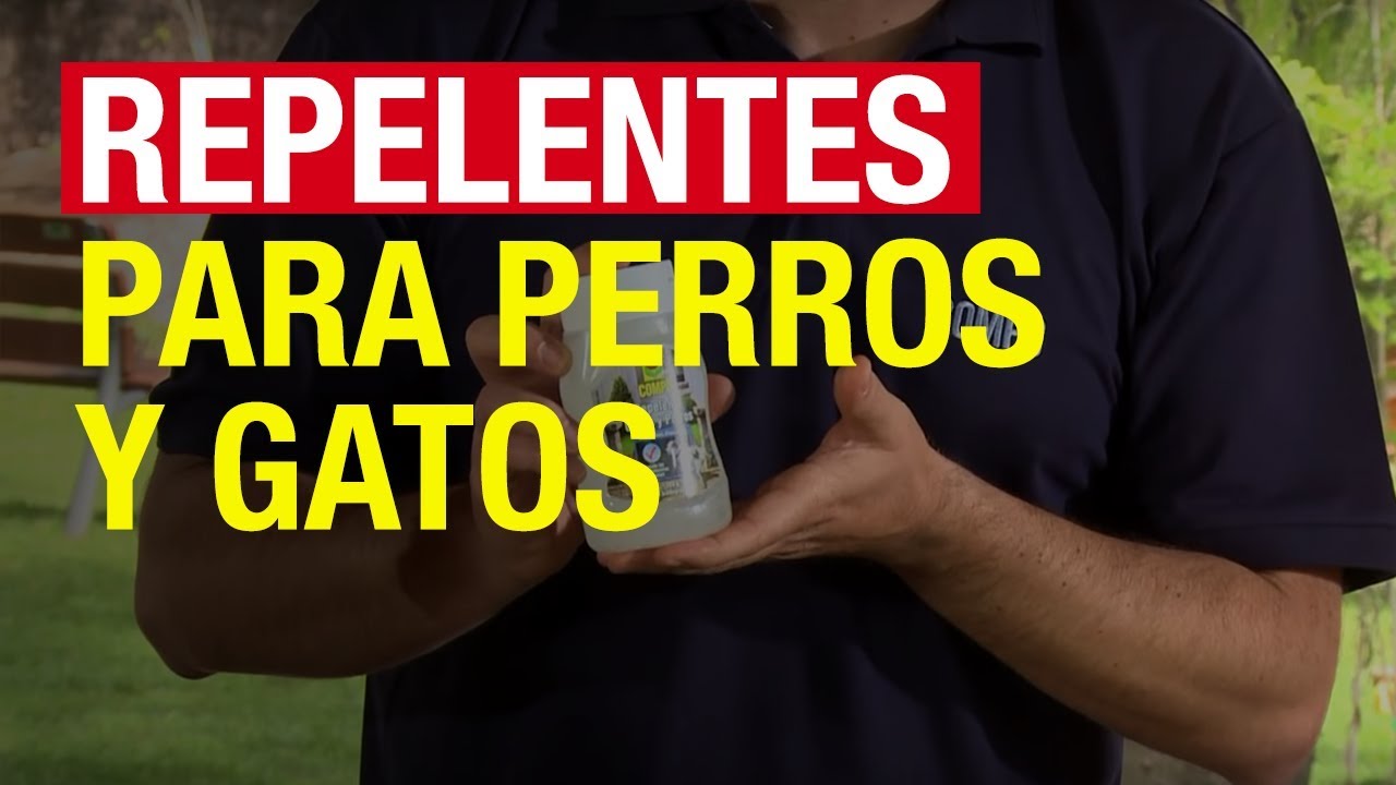 Repelente de gatos y perros 240gr - Compo