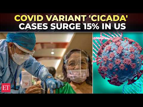 COVID is BACK! 15% spike in cases in US, is 'Cicada' variant next wave?