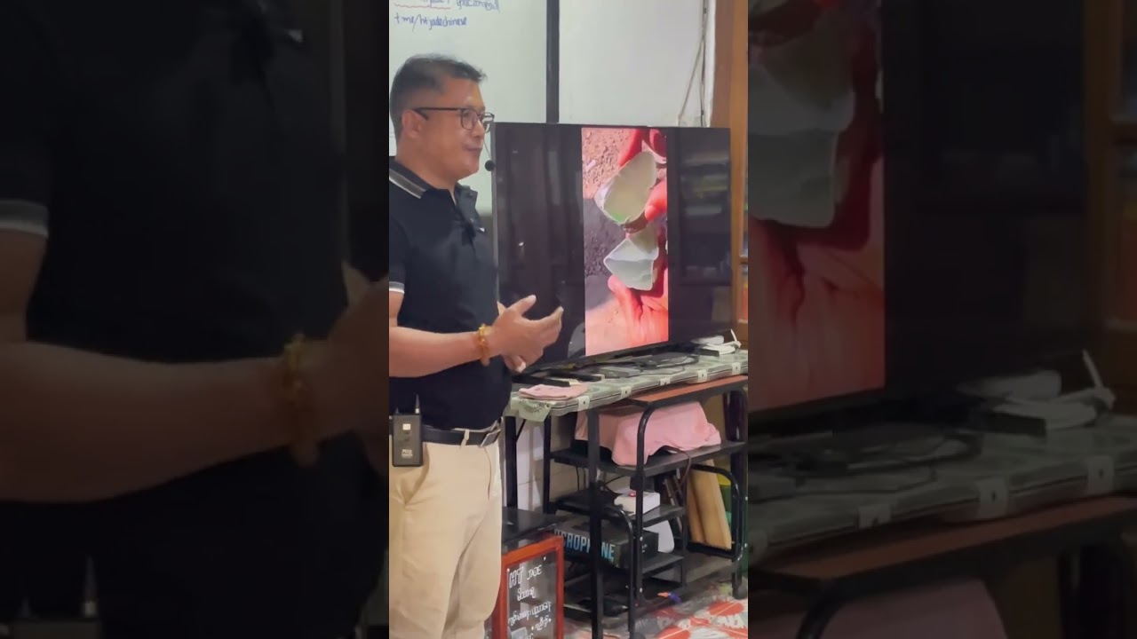 ဆန်းပေါက်/ဆန်းကြော &ညှက်ချောသား/ညှက်ချွဲသား