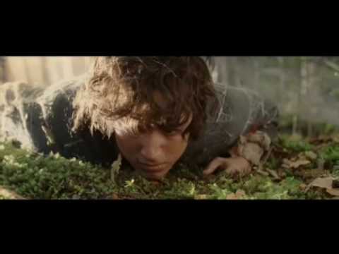 Frodo- My Body is a Map of my Life
