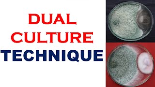 Dual Culture Technique