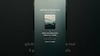 MEYREM SEVDALUK