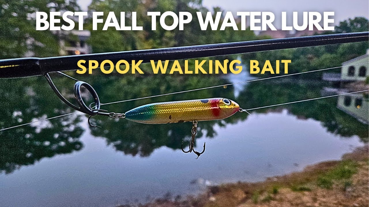 The #1 Top Water Fall Bass Fishing Lure (Catch Fish Fast) #bassfishing #topwater #fishing