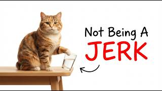 The Real Reason Your Cat Knocks Things Off Tables — It's Not What You Think