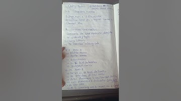 Coding Rules. #mainframevideos #mainframetutorial #mainframeclasses #mainframe #mainframetesting