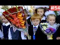 Я ржал до слез 😂 20 Минут смеха 2025 Смешные видео Приколы с животными!Подборка #54