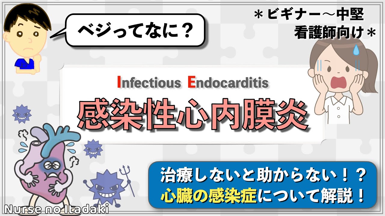 感染性心内膜炎とは何ですか? | 感染性心内膜炎 症例 – XHAJYF