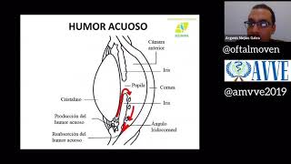 Introducción a la oftalmología veterinaria. Dr Argenis Mejias Galea