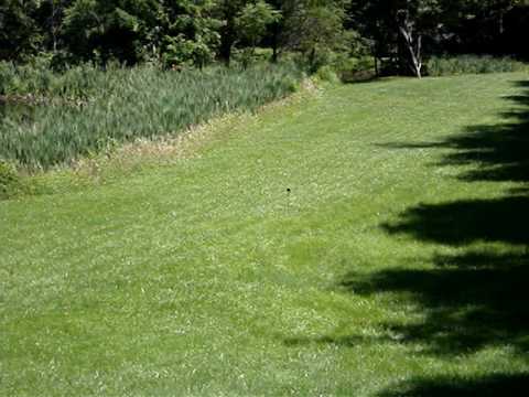 .22 LR will not Initiate an Ammonium Nitrate Based Exploding Target