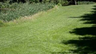 .22 LR will not Initiate an Ammonium Nitrate Based Exploding Target