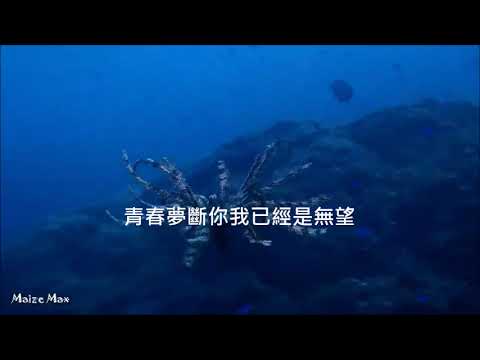 舊情綿綿伴奏