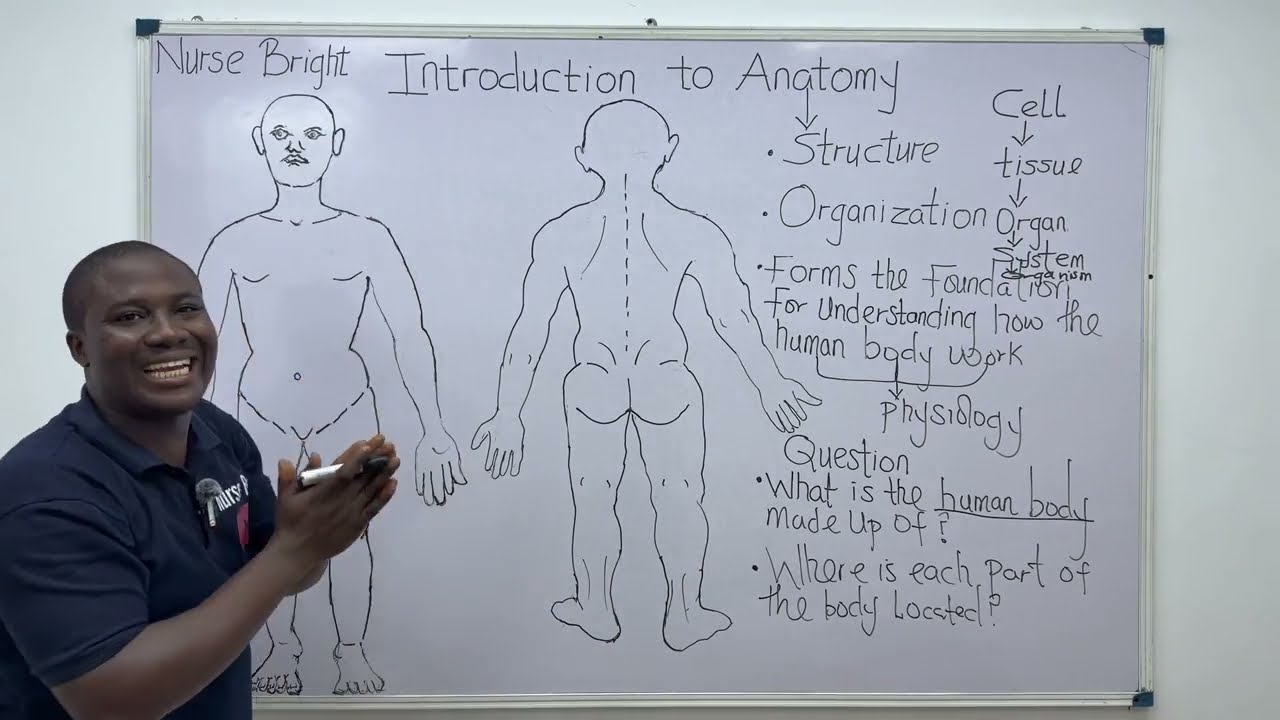 Introduction to Anatomy & Physiology (2026) | Anatomical Position, Body Regions & Directional Terms