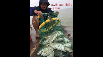 Cột Thùng -Hòn Dáu 8/8/2018