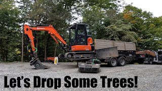 Tree Removal and Small Lawn Clearing with Kubota KX033 and Steelwrist X04.