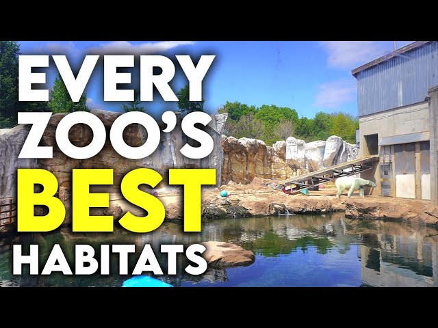 Every Zoo's Best Habitats | PART TWO - YouTube