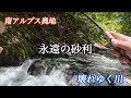 南アルプス奥地イワナ釣り〜壊れゆく谿/一泊二日釣行