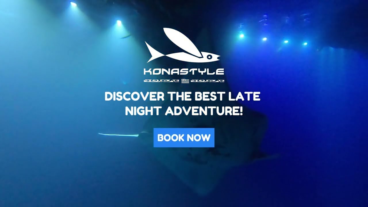 KONASTYLE Late Night Manta Ray Snorkel